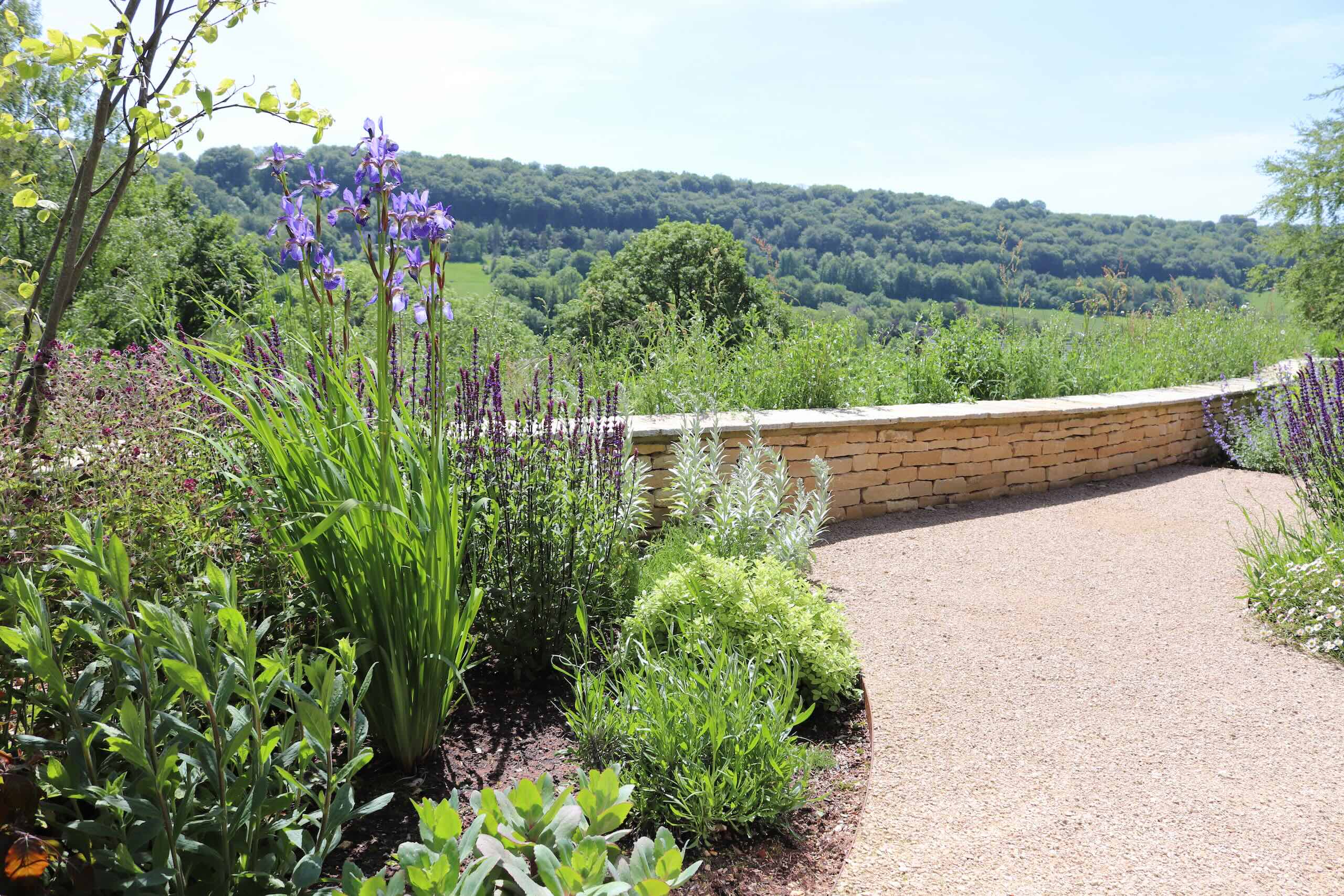 Landscaped Cotswold garden with stone wall, gravel path and flowering planting